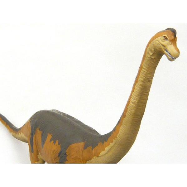 (恐竜 おもちゃ フィギュア) ブラキオサウルス ビニールモデル FD-306 (フェバリット プレゼント対応 誕生日 御祝 こどもの日 クリスマス)｜r-style｜05