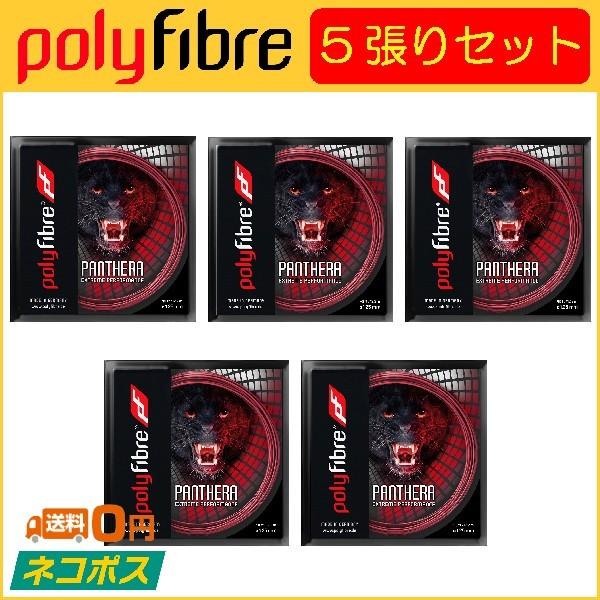 Polyfibre ポリファイバー Panthera パンテーラ PF0970 5張りセット  硬式テニス用ガット