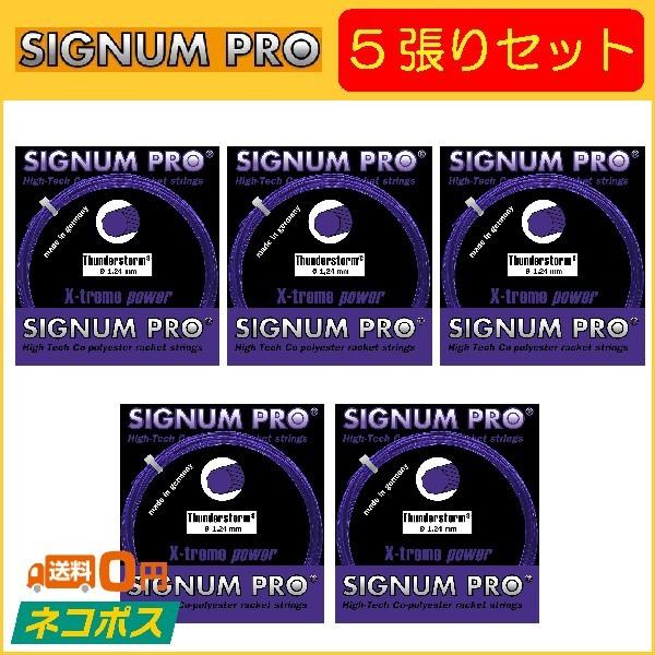 SIGNUM PRO シグナムプロ Thunderstorm サンダーストーム 5張りセット  硬式テニス用ガット