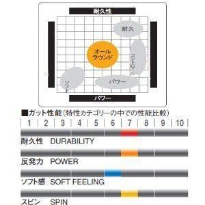 GOSEN ゴーセン EGGPOWER エッグパワー 200m ロール TS1012Y TS1012BK TS1012RE  硬式テニス用ガットの画像
