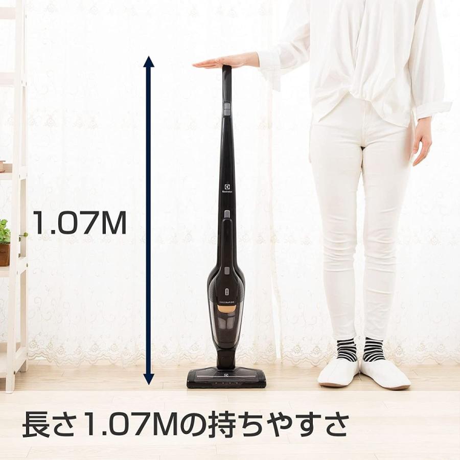 エレクトロラックス コードレス 掃除機 エルゴラピード・リチウム スタンダートモデル サイクロン ハイパワー 軽量 アイロングレー ZB35 コードレス 掃除機 エルゴラピード リチウム スタンダートモデル サイクロン ハイパワー 軽量 アイロングレー
