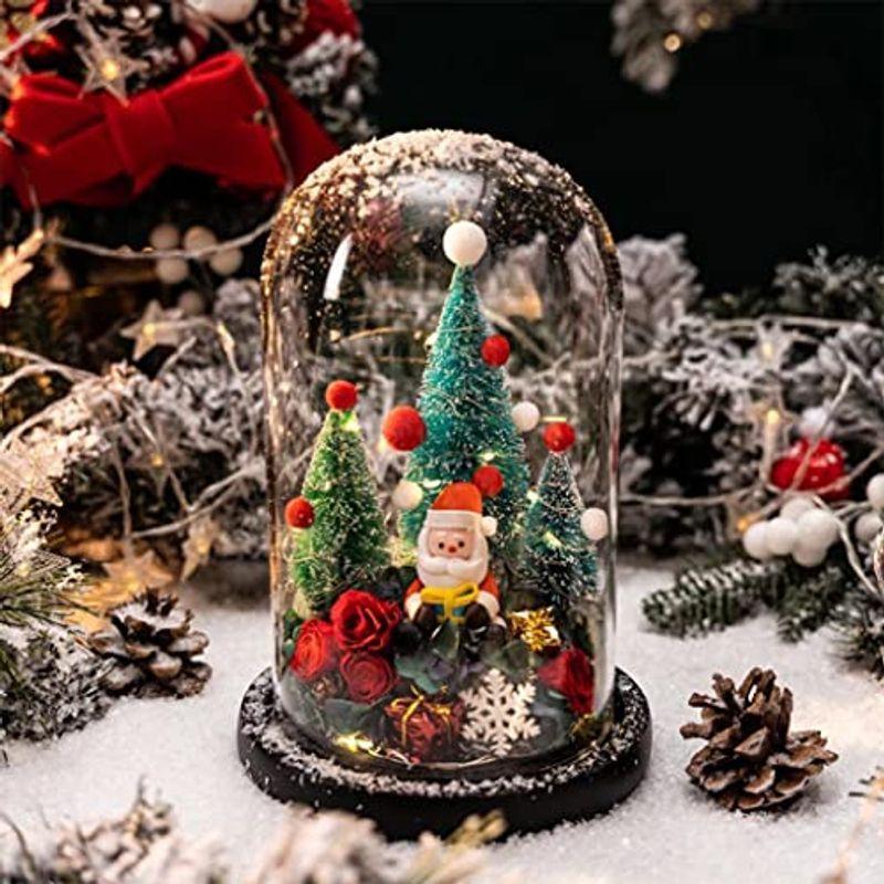 ブリザードフラワー プレゼント クリスマス リース サンタクロース クリスマスツリー ドライフラワー ラッピング済み ガラスドーム バラ 人 アールズストア 通販 Yahoo ショッピング