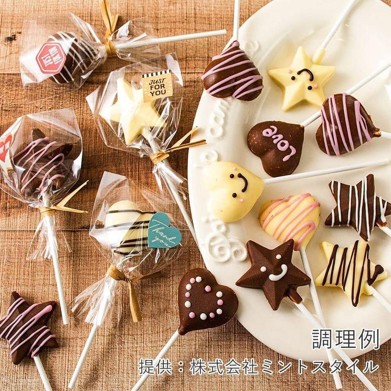 市場 共立食品 デコペンチョコ 2ケース 10g 10袋入 送料無料 速乾性