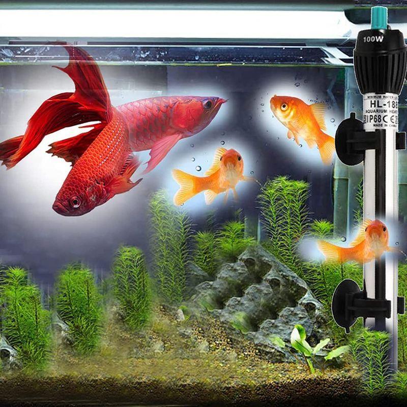 水槽 ヒーター アクアリウム 温度調節 ミニヒーター 安全加熱 防爆 水槽用ヒーター 100w 淡水海水両用 熱帯魚 観賞魚 省エネ アールズストア 通販 Yahoo ショッピング