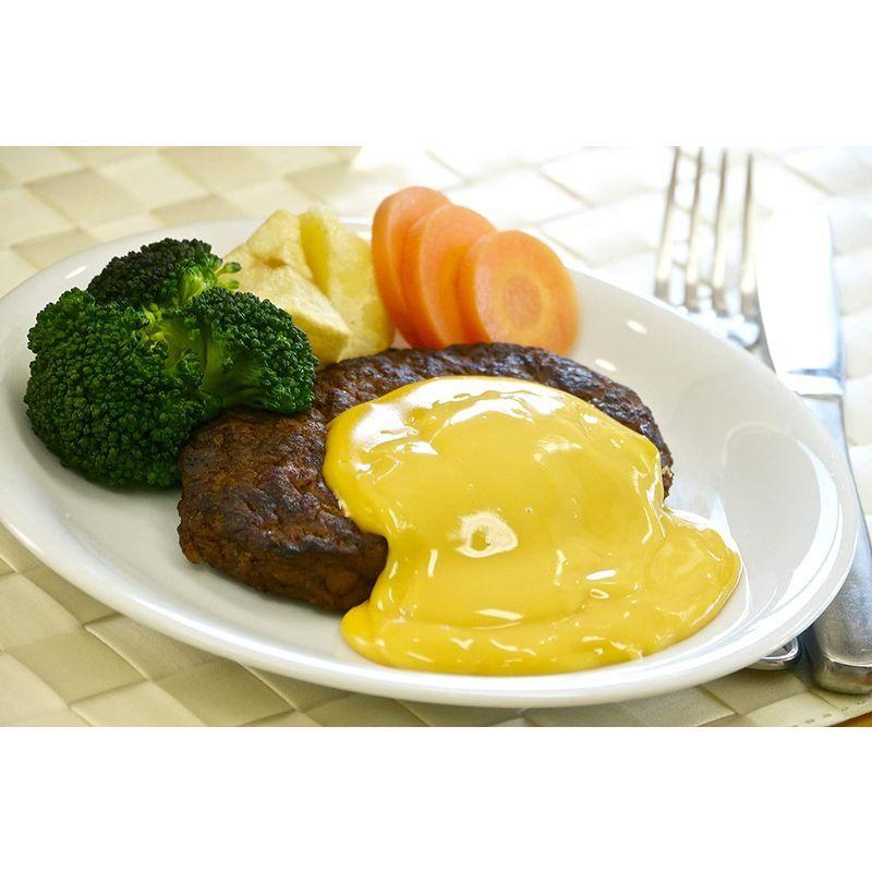 ★11時間以内発送★美品 ハーダース TUF チーズソース ピローパック 200g×24袋入 【1741416373】(10159円)