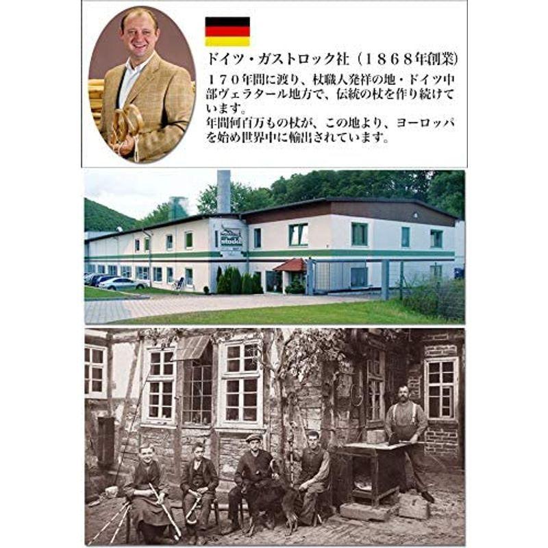 ドイツ・ガストロック社製高級杖 GA-36 ガストロック社製高級杖 GA ブナ