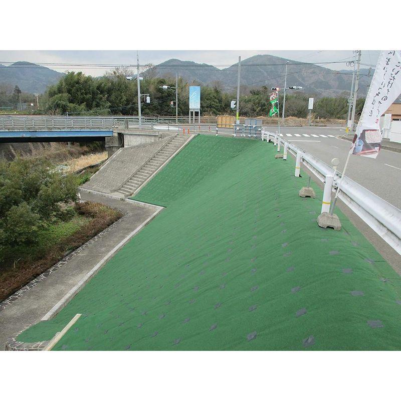 ✨美品✨ シンセイ 防草シート ストロングマット 超厚手3mm 1m×20m グリーン 【R2008001048】(11715円)