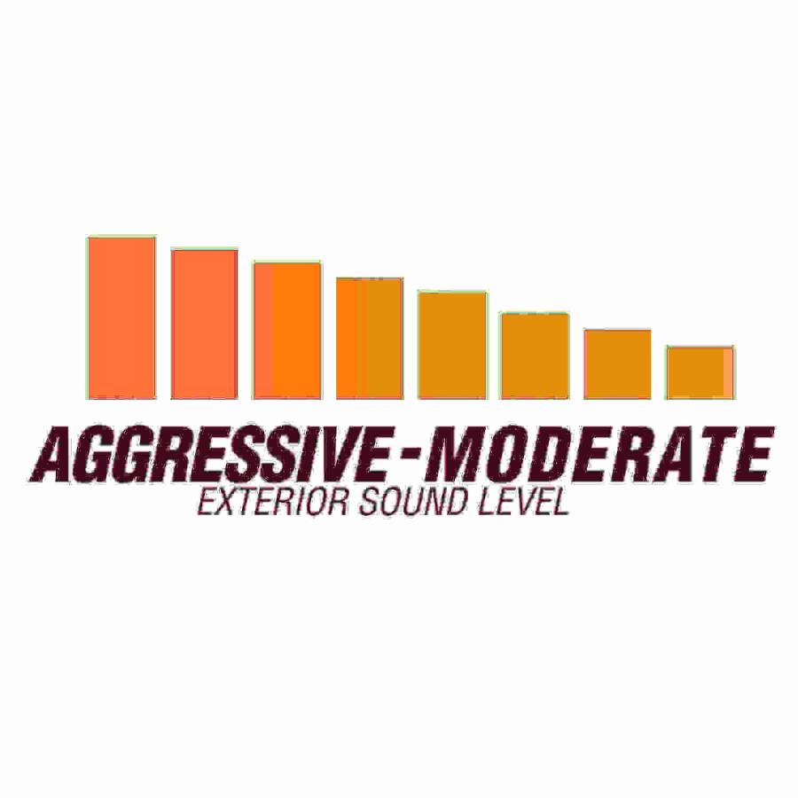 ⭐️完成品⭐️ Flowmaster 2009-2021 トヨタ タンドラ 4.6L 5.7L 145インチWB フローFX 【WSO2631994468】(94787円)