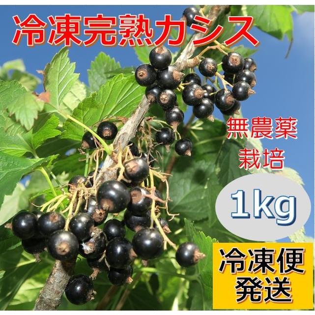 無農薬冷凍カシス1kg（500g×2袋入）岩手県軽米町産 | 