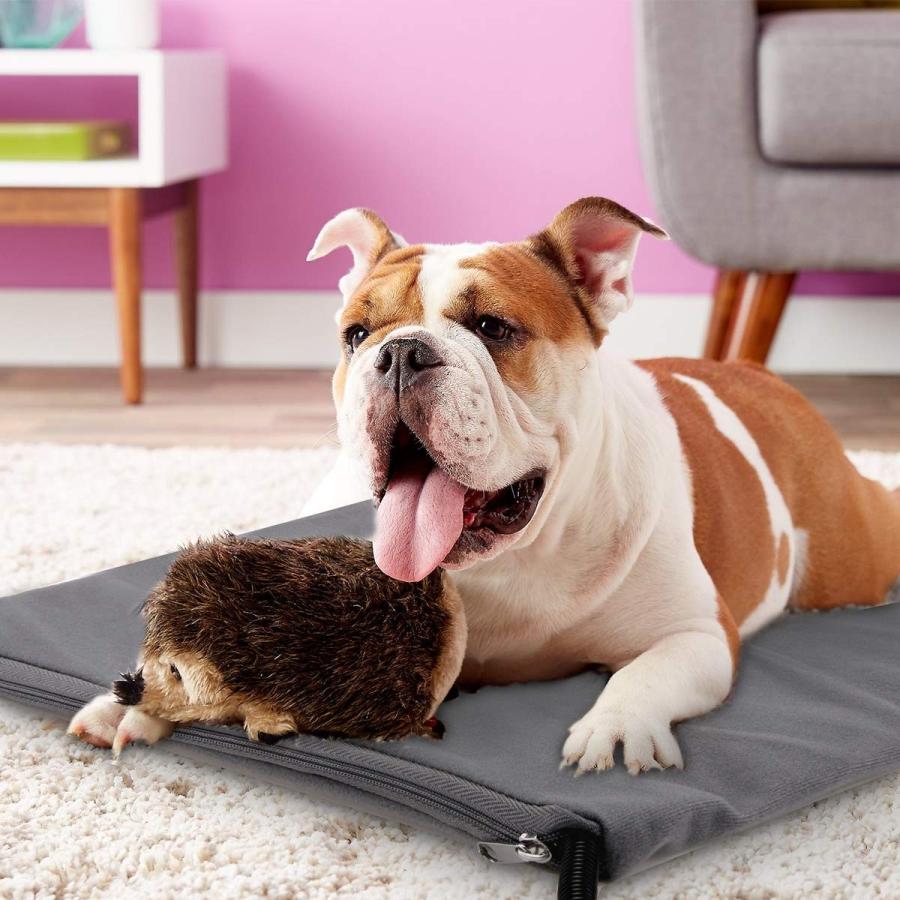 Iregro ペット用 ホットカーペット ペット用ヒーターマット 犬 猫 小動物 防水 寒さ対策 暖房器具 Pse認証済み 40cm X Www Samplehime Com