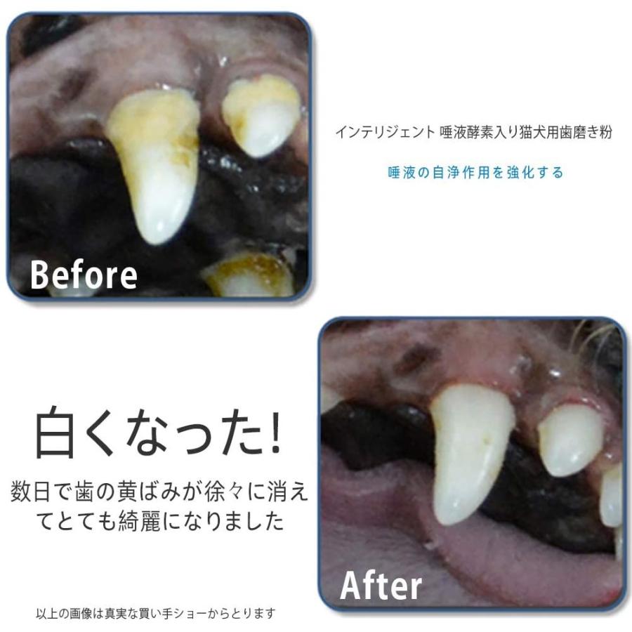 インテリジェント酵素入り猫犬用歯磨き粉 80g歯周病ケア 自宅の歯石取り配合用はみがき 口臭 サプリ Rabbit Sakura 通販 Yahoo ショッピング