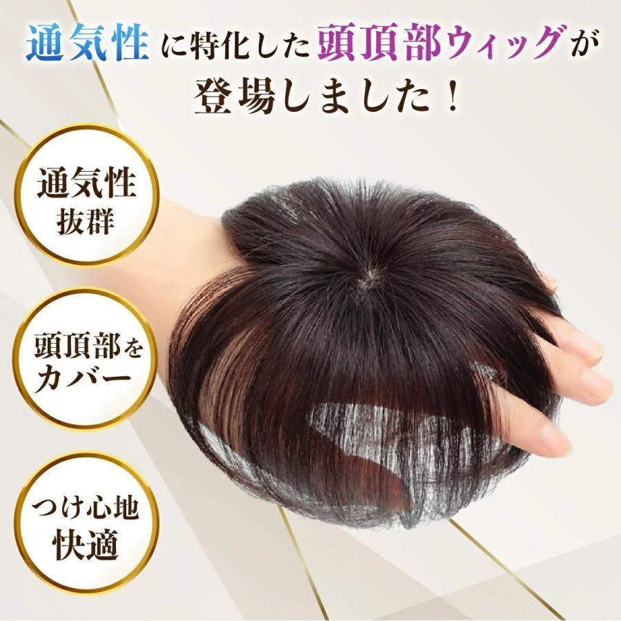 ポイント10倍】 ウィッグ 頭頂部ウィッグ 部分ウィッグ カツラ ヘアピース 分け目 自然 ボリューム つむじ レディース つけ毛 トップピース  ウィッグ、エクステンション