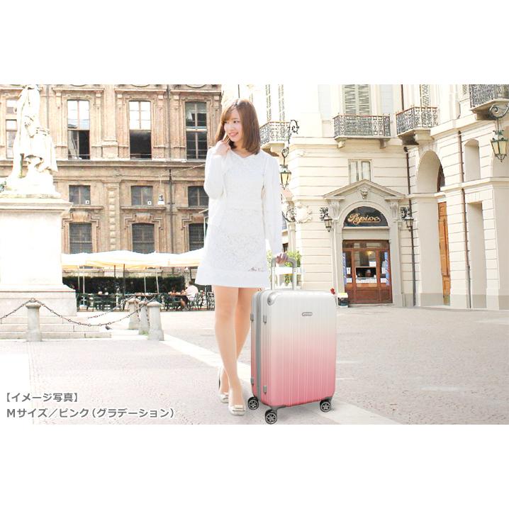 スマートバード（SmartBird） キャリーケース Mサイズ グラデーション