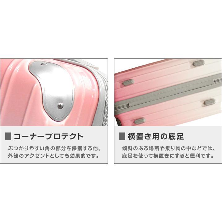 スマートバード（SmartBird） キャリーケース 機内持ち込み Sサイズ