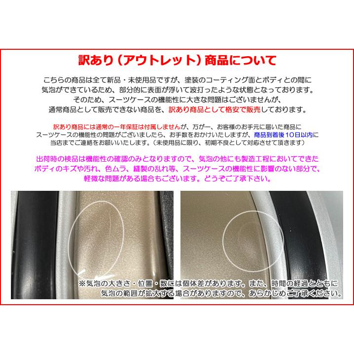 スマートバード（SmartBird） 訳あり アウトレット スーツケース 機内