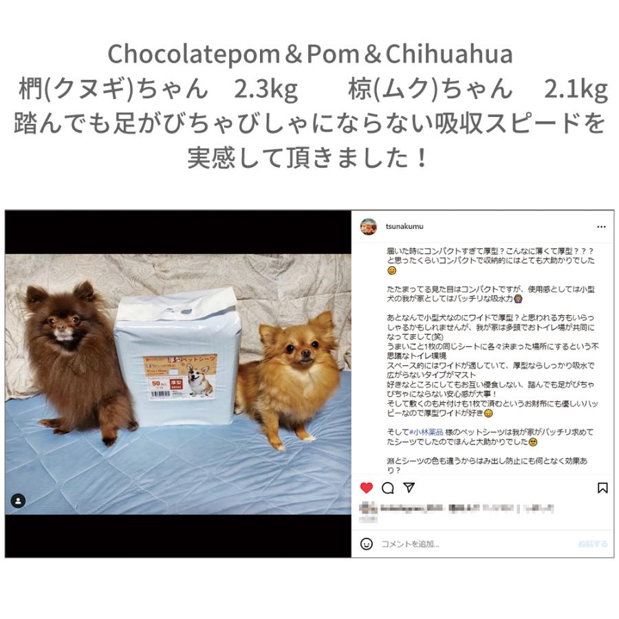 RABLISS ペットシーツ 【厚型】犬 トイレ 【選べる3サイズ