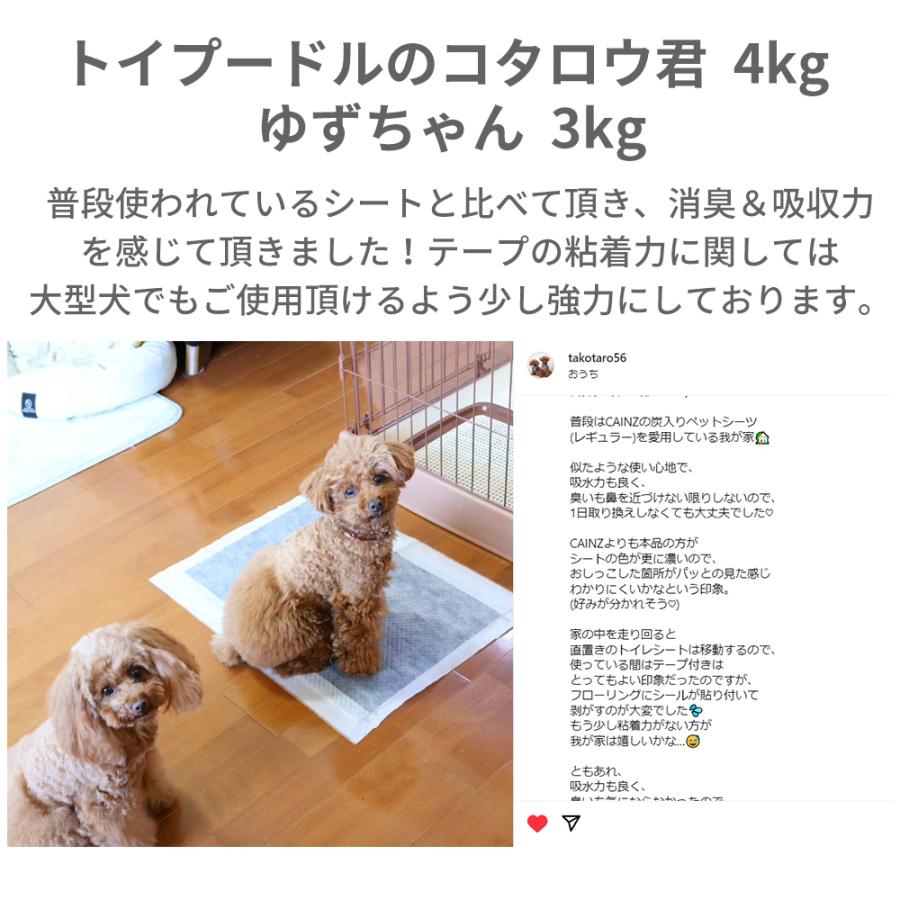 RABLISS 炭入りペットシーツ【ワイドサンプル3枚セット】 厚型 RABLISS 炭入りペットシーツ【ワイドサンプル3枚セット】 厚型