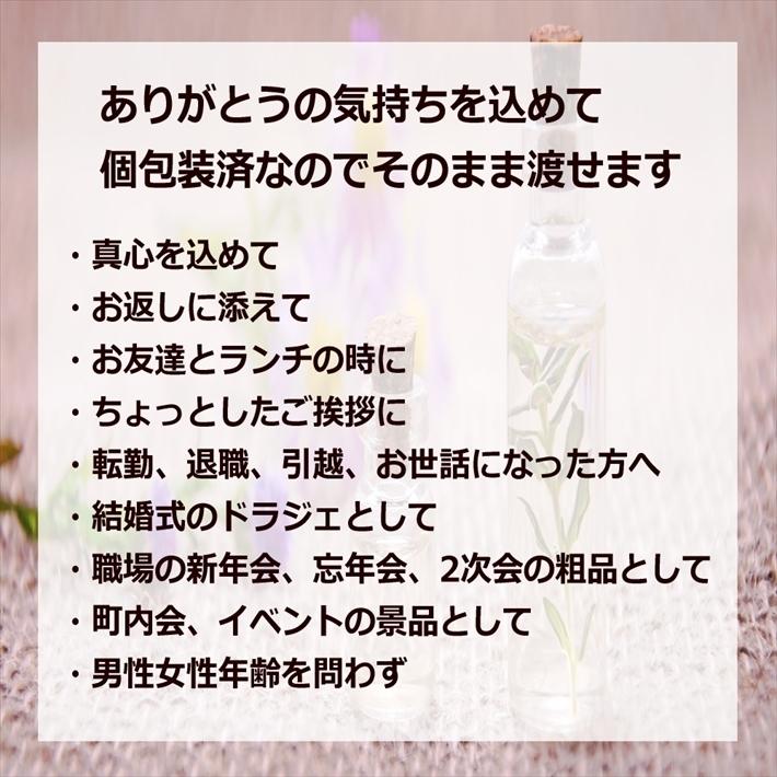 入浴剤 プチギフト 退職 2種×10セット おしゃれ お世話になりました ありがとう 異動 お礼の品 母の日 父の日 個包装｜rablue｜07