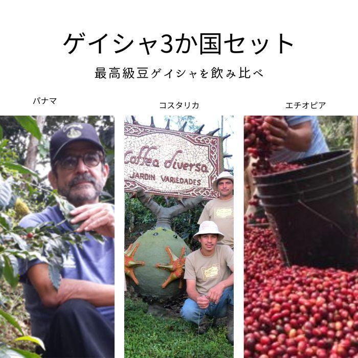 コーヒー 豆 ゲイシャ バレンタイン プレゼント パナマ コスタリカ