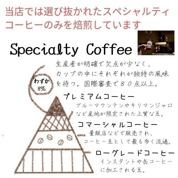 コーヒー コーヒー豆 コーヒー保存容器  父の日 プレゼント 夏 ギフト スペシャルティコーヒー 70ｇ＋猫柄キャニスター 可愛い 猫 パッケージ 自家焙煎｜raccoyacoffee｜18