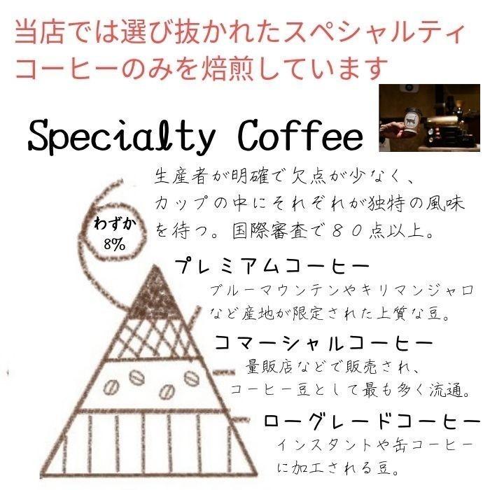 コーヒー 選べる 自家焙煎豆 定番 セット100g×2  エチオピア ブラジル マンデリン 東ティモール  猫パッケージ ドリップ スペシャルティ ネコポス｜raccoyacoffee｜13