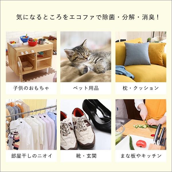 完動品 エコファ ウィルス・細菌・シックハウス対策スプレー(300mlタイプ)ウィルス、細菌、有害物質の除菌＆分解、抗菌、消臭効果【ECOFUR】24本セット 【UOI6640521718】(23915円)