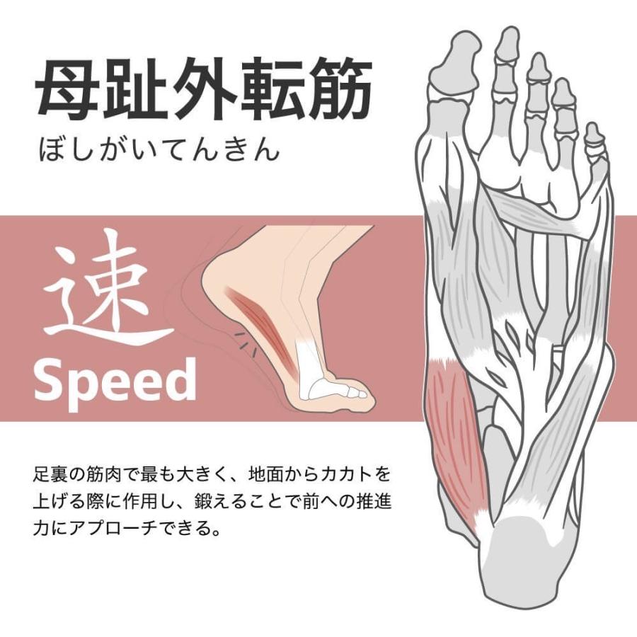 アクティバイタルプロ ラケットスポーツ専用 サポーター テーピングソックス 靴下 テニス ソフトテニス バドミントン 足首 保護 足底腱膜 足袋型 ねんざ防止 | Activital | 10