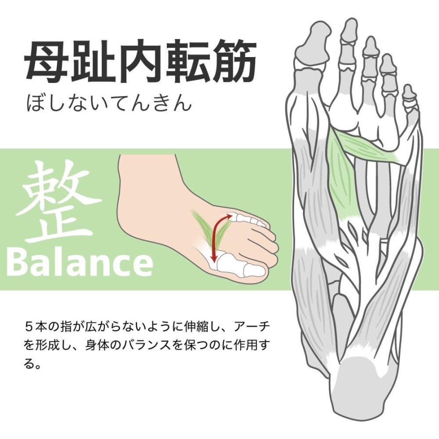 アクティバイタルプロ ラケットスポーツ専用 サポーター テーピングソックス 靴下 テニス ソフトテニス バドミントン 足首 保護 足底腱膜 足袋型 ねんざ防止 | Activital | 08