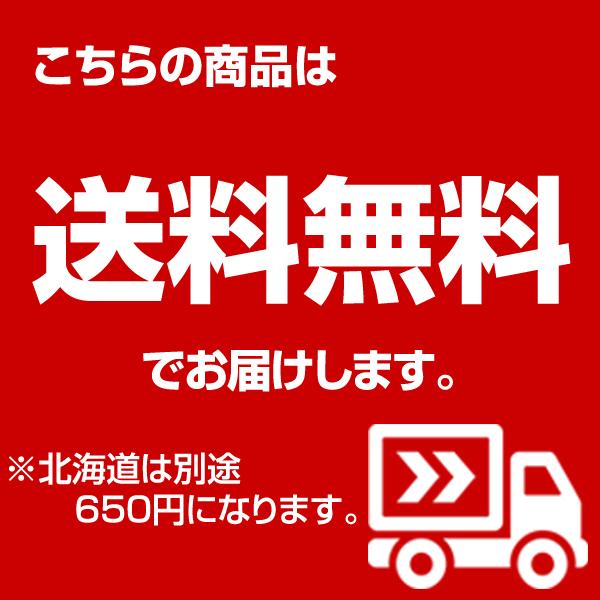 GOSEN（ゴーセン） バドミントン ラケット インフェルノ ライト