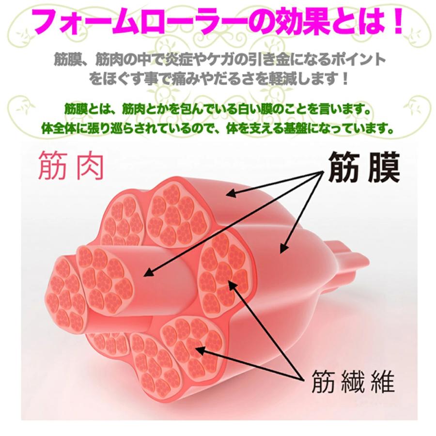 フォームローラー ストレッチポール ヨガポール 筋膜リリース 体幹 筋トレ Dash01 ラケットフィールドヤフー店 通販 Yahoo ショッピング