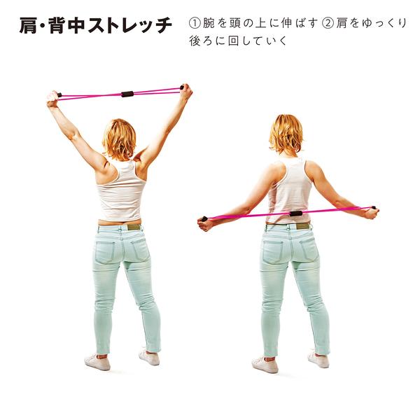 トレーニングチューブ 筋トレの時間だよ スタンダード サクライ Erugam レディース 女性用 筋トレグッズ 上腕 胸筋 背筋 ヒップ 二の腕 太もも引き締め Erugam ラケットフィールドヤフー店 通販 Yahoo ショッピング