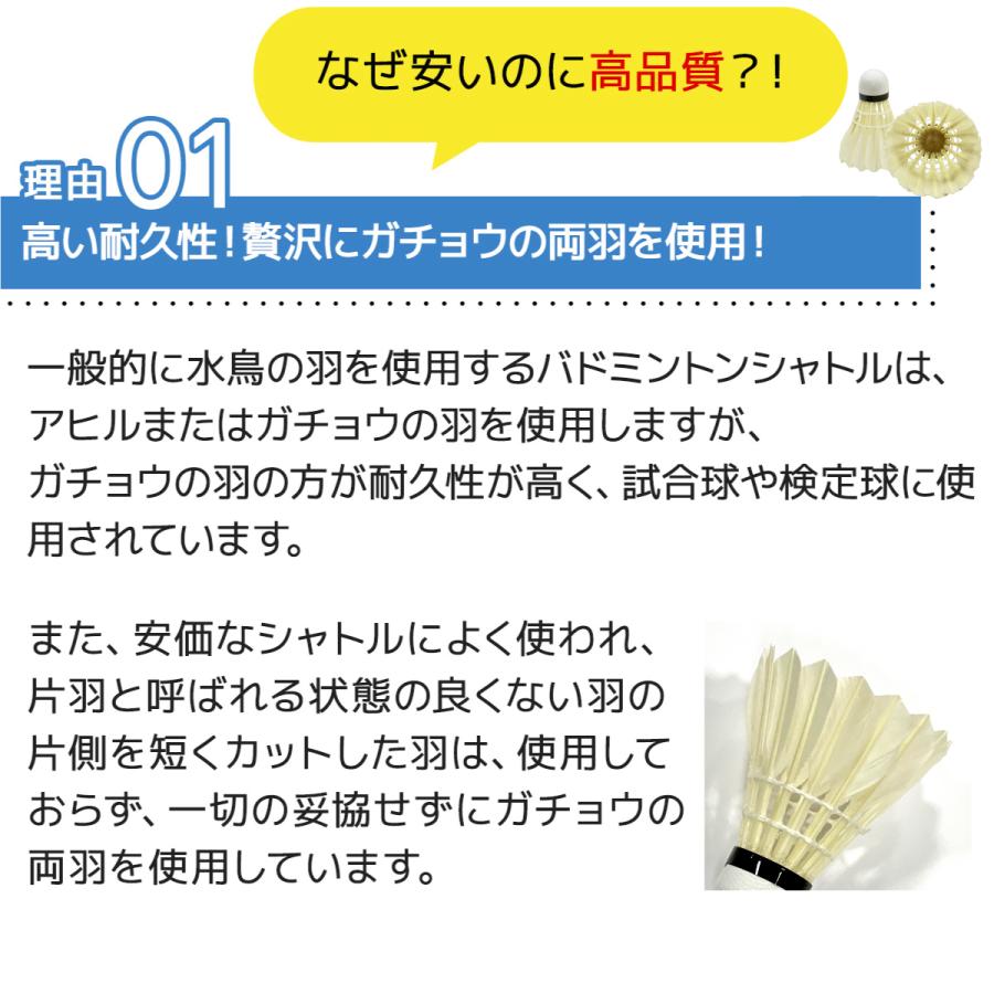 バドミントン シャトル10ダース 練習用 ラケットフィールド バドミントン シャトル10ダース 練習用 ラケットフィールド