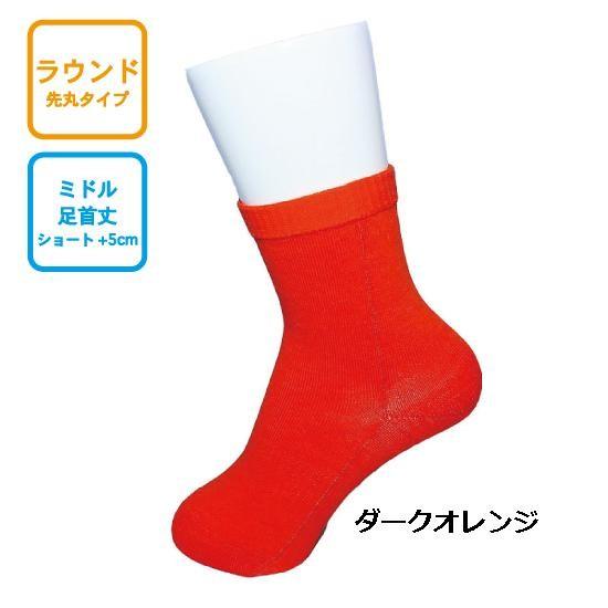 インナーファクト ラウンド型 ミドル丈 足首丈 ソックス INNER FACT トレイルラン トレイルランニング 靴下 ソックス ランニング マラソン |  | 04