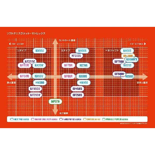 YONEX 【国内正規品】【フレームのみ】 (ヨネックス