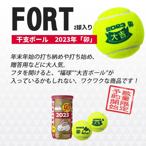 ショップ ダンロップ テニス ボール FORT 2球入 フォート 干支ボール 2023年卯 2球入×30缶 DFE23ETOYL2TIN