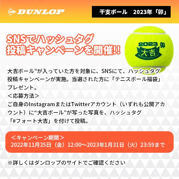 ショップ ダンロップ テニス ボール FORT 2球入 フォート 干支ボール 2023年卯 2球入×30缶 DFE23ETOYL2TIN