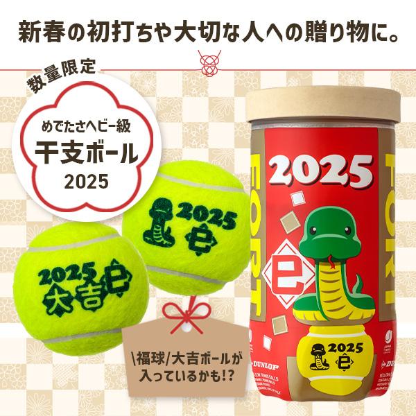 DUNLOP ダンロップ テニスボール FORT 2球入『フォート』/干支 DUNLOP ダンロップ テニスボール FORT 2球入『フォート』/干支