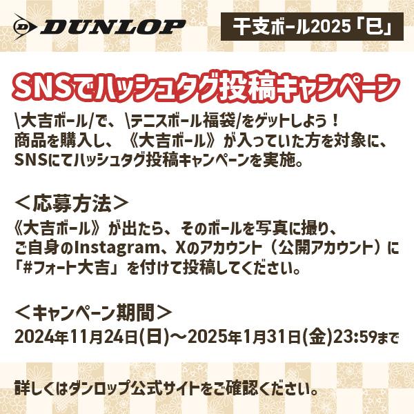 DUNLOP ダンロップ テニスボール FORT 2球入『フォート』/干支 DUNLOP ダンロップ テニスボール FORT 2球入『フォート』/干支