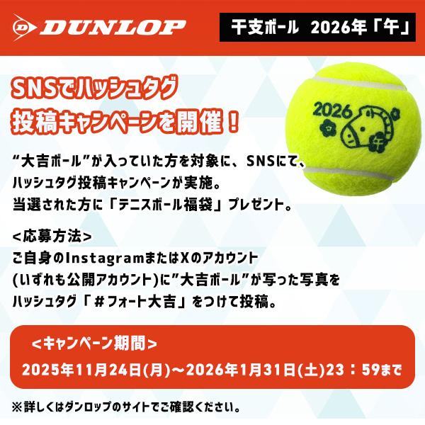 DUNLOP（ダンロップ） テニスボール FORT 2球入『フォート』 干支