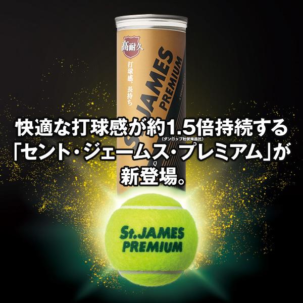 ダンロップ テニスボール セントジェームス・プレミアム Ｓt,JAMES PREMIUM 4ヶ入りボトル STJAMESPRMA4TIN | DUNLOP | 01