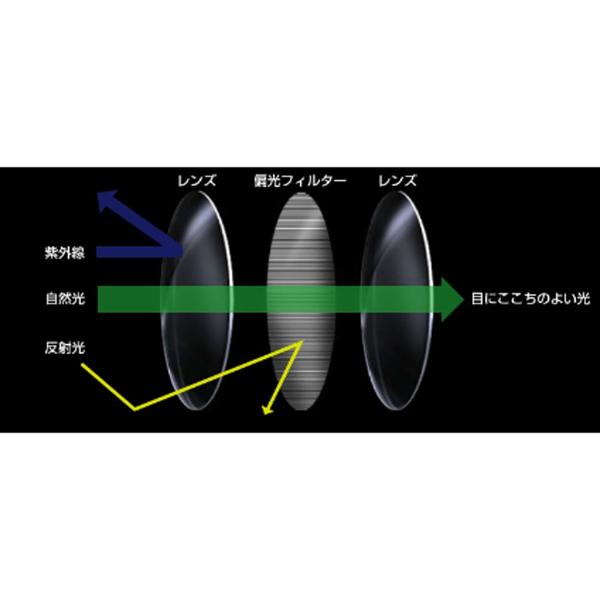 iruka『イルカ』 テニスアクセサリ・小物 IRUKAサングラス