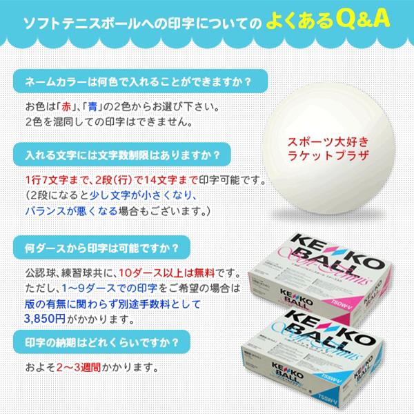 NAGASE KENKO ケンコー ソフトテニスボール 『ネーム入れ』『1箱
