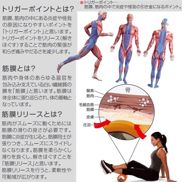 トリガーポイント オールスポーツトレーニング用品 グリッド フォームローラー 2 04412 | TRIGGER POINT | 04