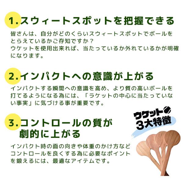 その他 テニストレーニング用品 ウケット/木製テニス練習器具 |  | 01