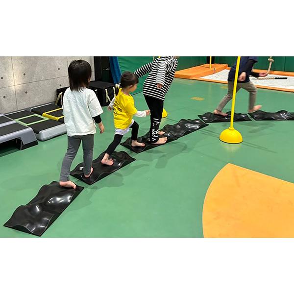 その他 オールスポーツトレーニング用品 アダプベース ADAPBASE ZO300 |  | 10