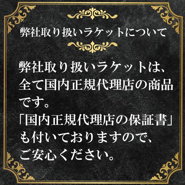 ASTROX ヨネックス アストロクス77プロ ASTROX77PRO AX77-P 752 ASTROX ヨネックス アストロクス77プロ ASTROX77PRO AX77-P 752