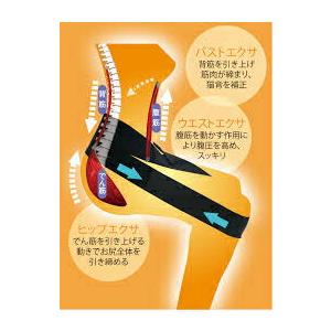 ラクナール ストレッチベルト ブラック 姿勢を正して腰の負担を開放