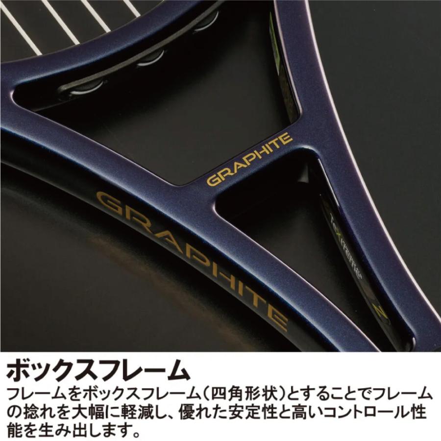 Prince（プリンス） ファントム グラファイト100XS (300g) 7TJ249