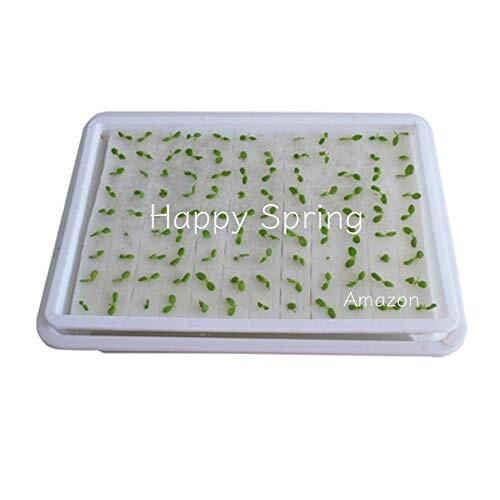 おもちゃ アウトレット 美品 Happy Spring 水耕栽培 ウレタン 培地 スポンジ 117ブロック 5シート入 H型 密度低 L2wlcvxz9c Baltihouse Com Au