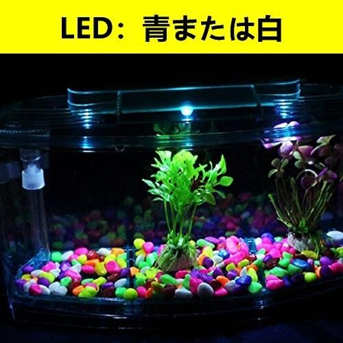 Nitrip メダカ飼育セット 観賞魚飼育 水槽 Ledトップカバーライト エアポンプ 小魚 ベタ グッピー 魚の弓種 ラココショップ 通販 Yahoo ショッピング